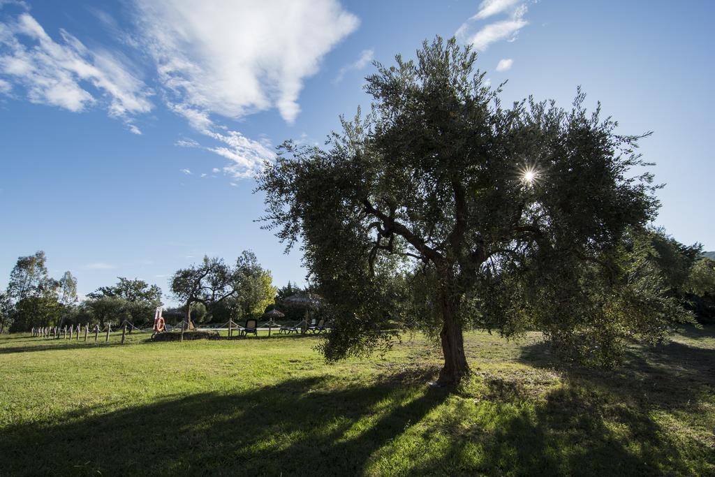 Tenuta Col Di Sasso Scarlino Exterior photo